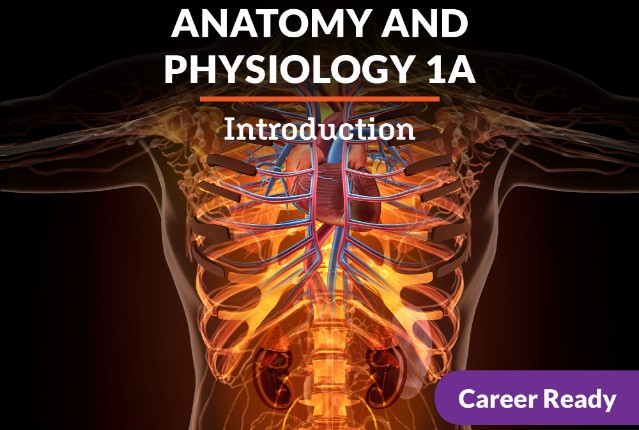 Anatomy and Physiology 1a: Introduction